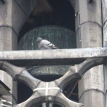 Tour de lhorloge de Beaune