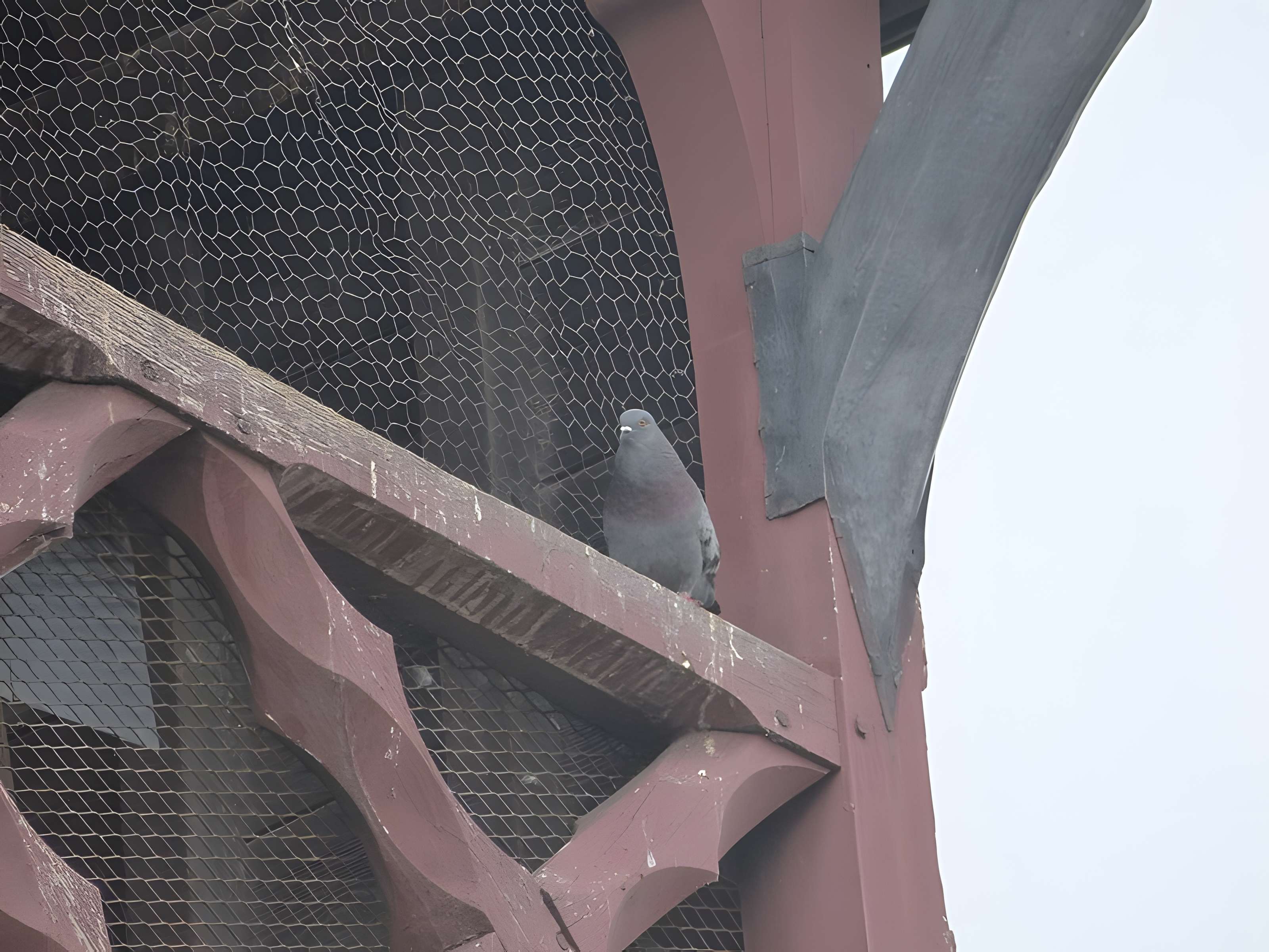 Tour de l'horloge de Beaune