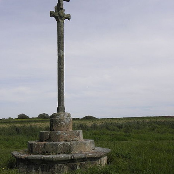 Photo de Croix de Saint-Fiacre à Lanmeur