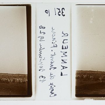 Croix de Saint-Fiacre à Lanmeur