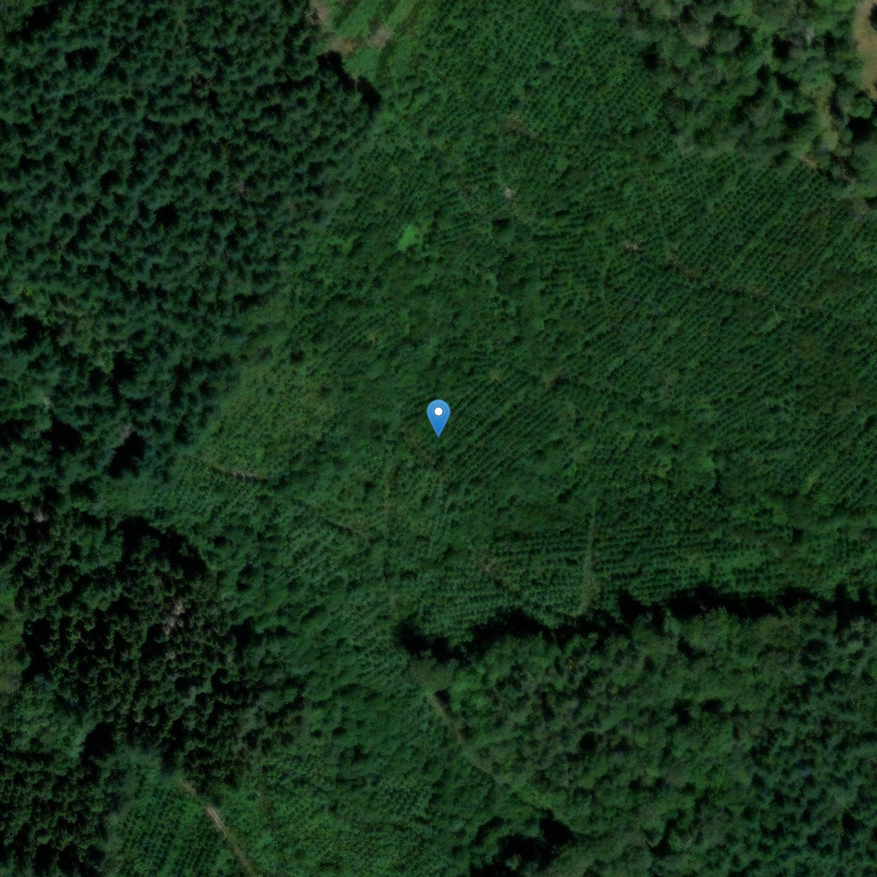 Photo de Cross of Saint-Yrieix-le-Déjalat