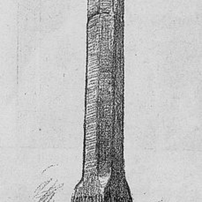 Photo de Croix de Sourcieux-les-Mines