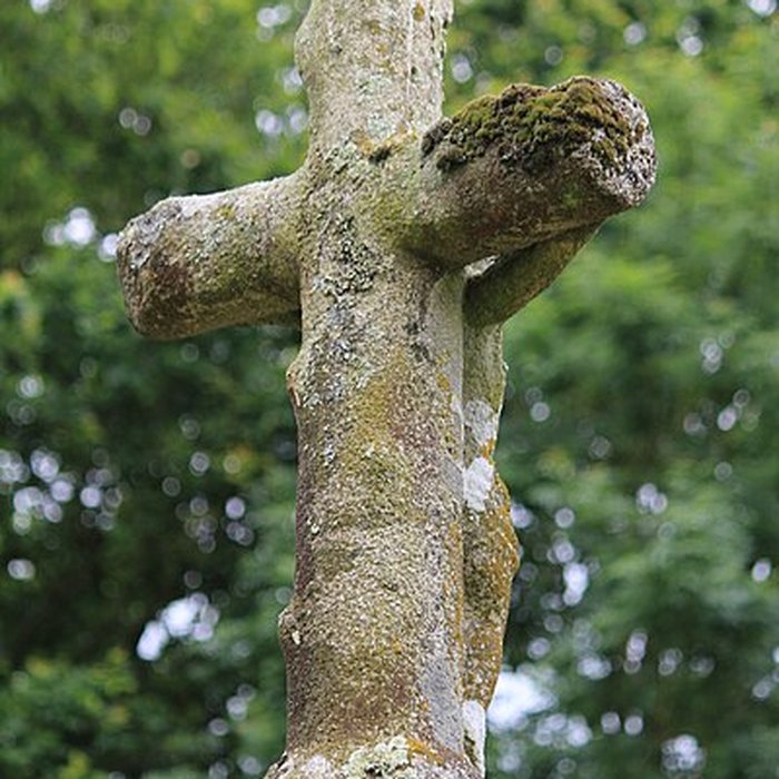 Photo de Croix de Ténuel