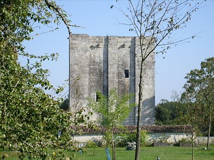 Photo de Tour de l'Isleau de Saint-Sulpice-d'Arnoult