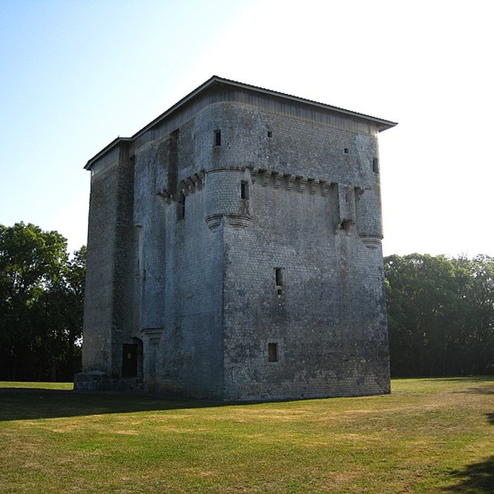 Photo de Tour de Moricq dAngles