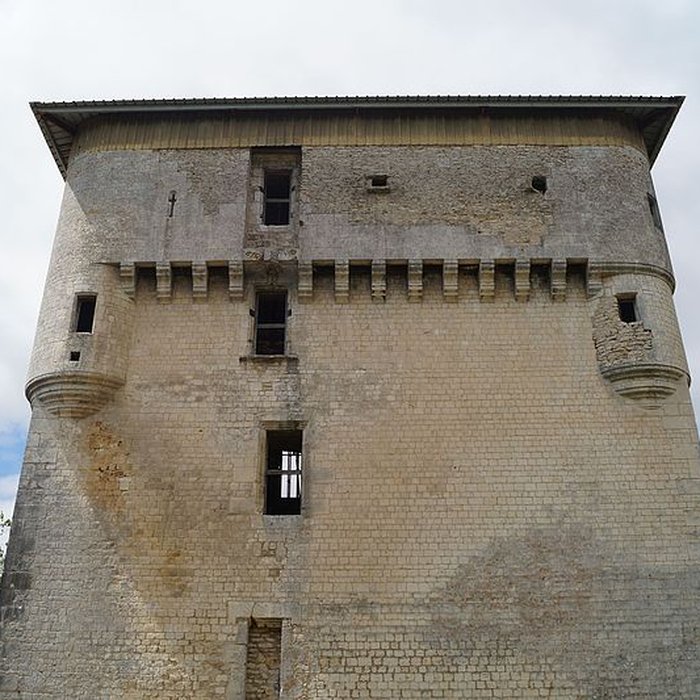 Photo de Tour de Moricq dAngles