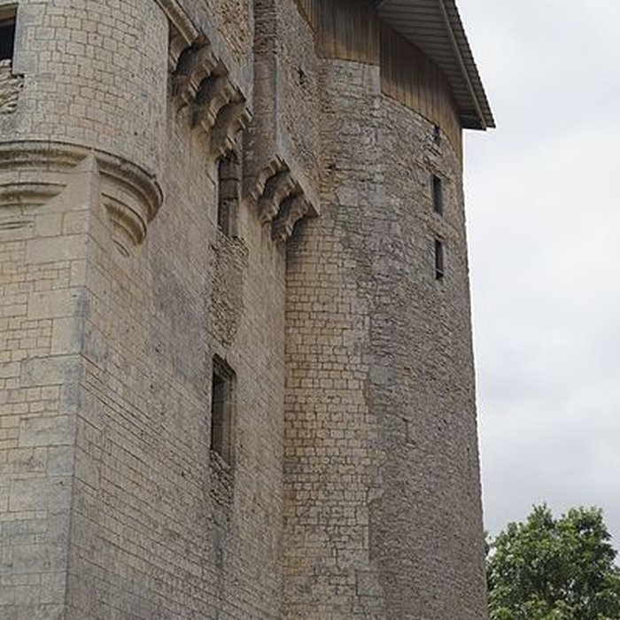 Photo de Tour de Moricq dAngles