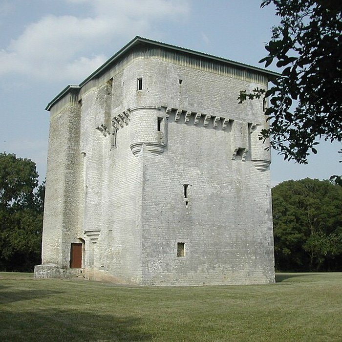 Photo de Tour de Moricq dAngles