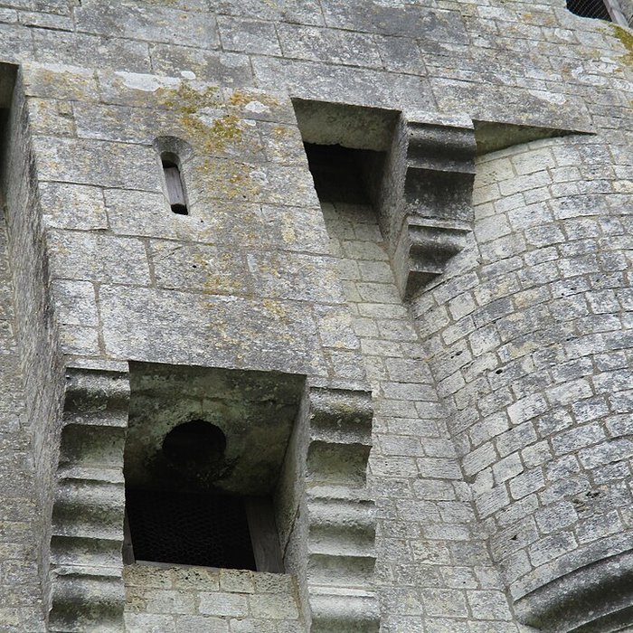 Photo de Tour de Moricq dAngles