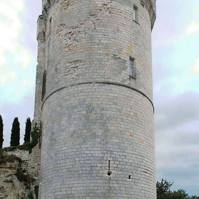 Photo de Tour de Trèves de Chênehutte-Trèves-Cunault