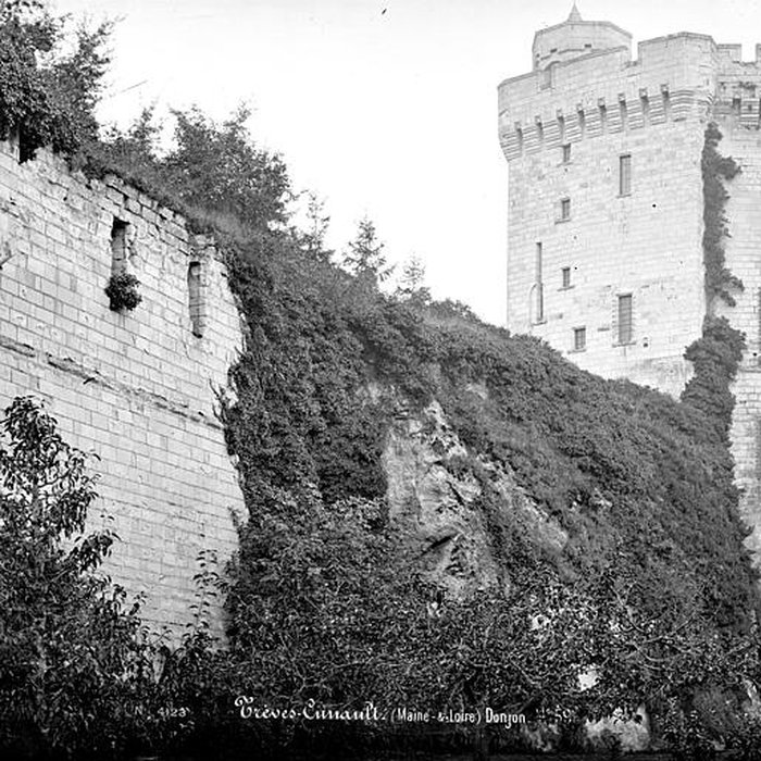 Photo de Tour de Trèves de Chênehutte-Trèves-Cunault