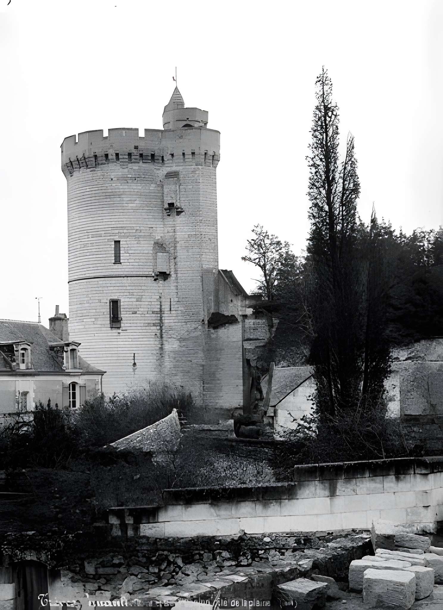 Tour de Trèves de Chênehutte-Trèves-Cunault