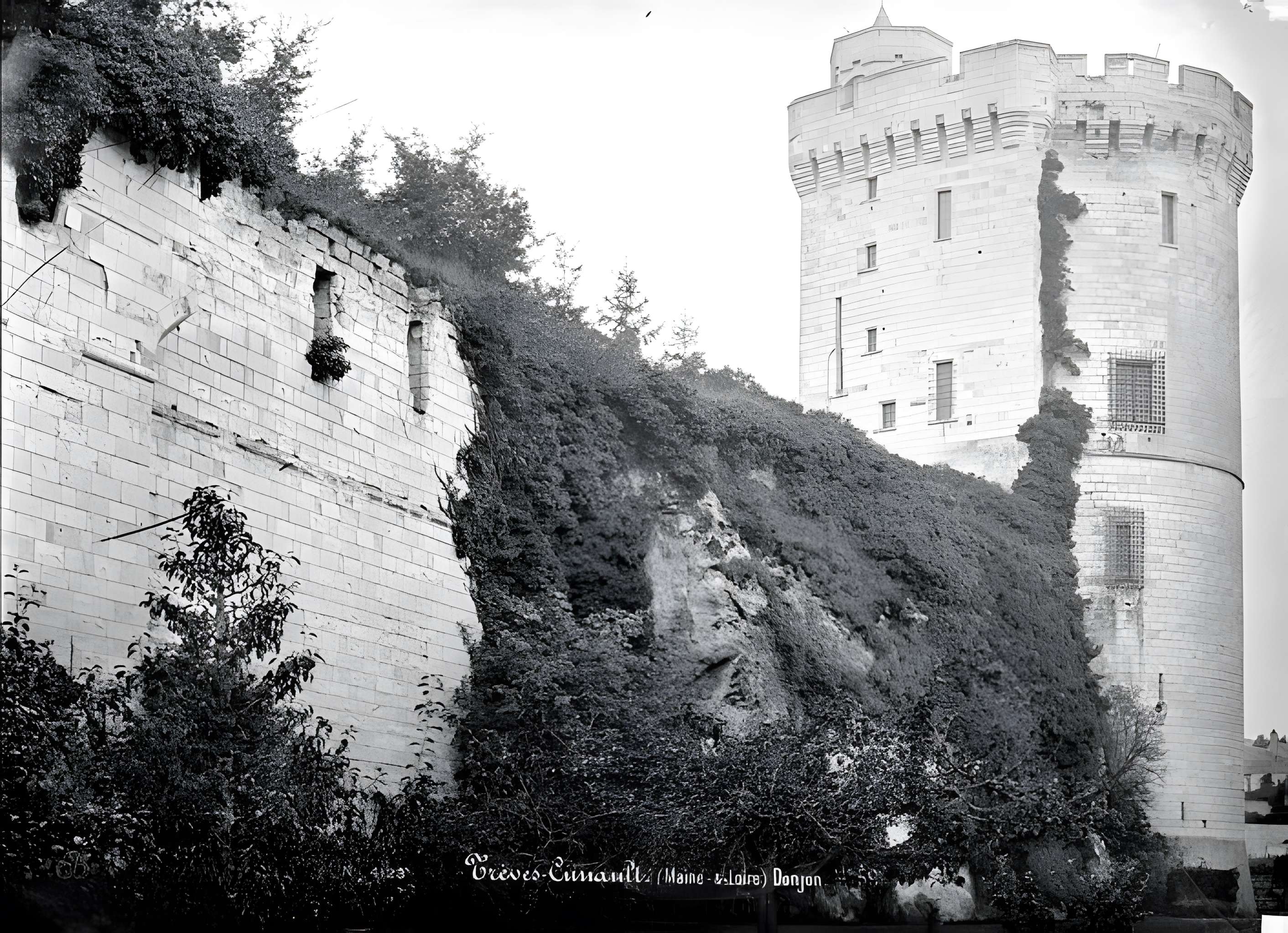 Tour de Trèves de Chênehutte-Trèves-Cunault