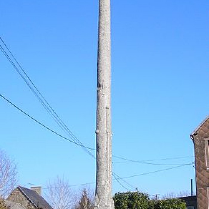 Photo de Croix du Mesnil-Sauvage