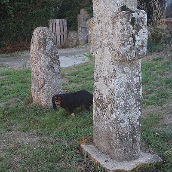 Photo de Croix et 2 lechs du Moustoir à Locoal-Mendon