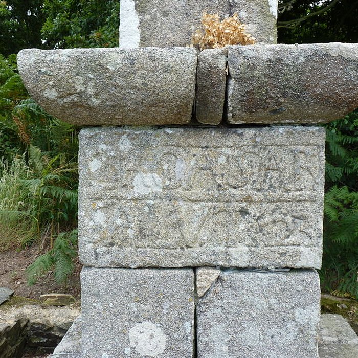 Photo de Croix du Salut de Pleumeur-Gautier