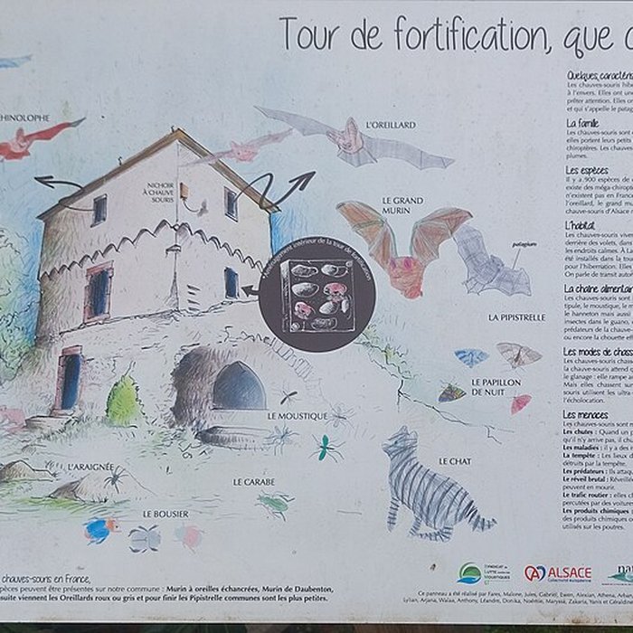 Photo de Tour des Bouchers de Lauterbourg