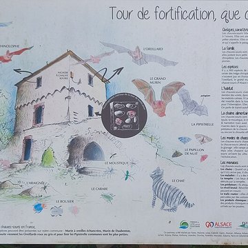 Tour des Bouchers de Lauterbourg