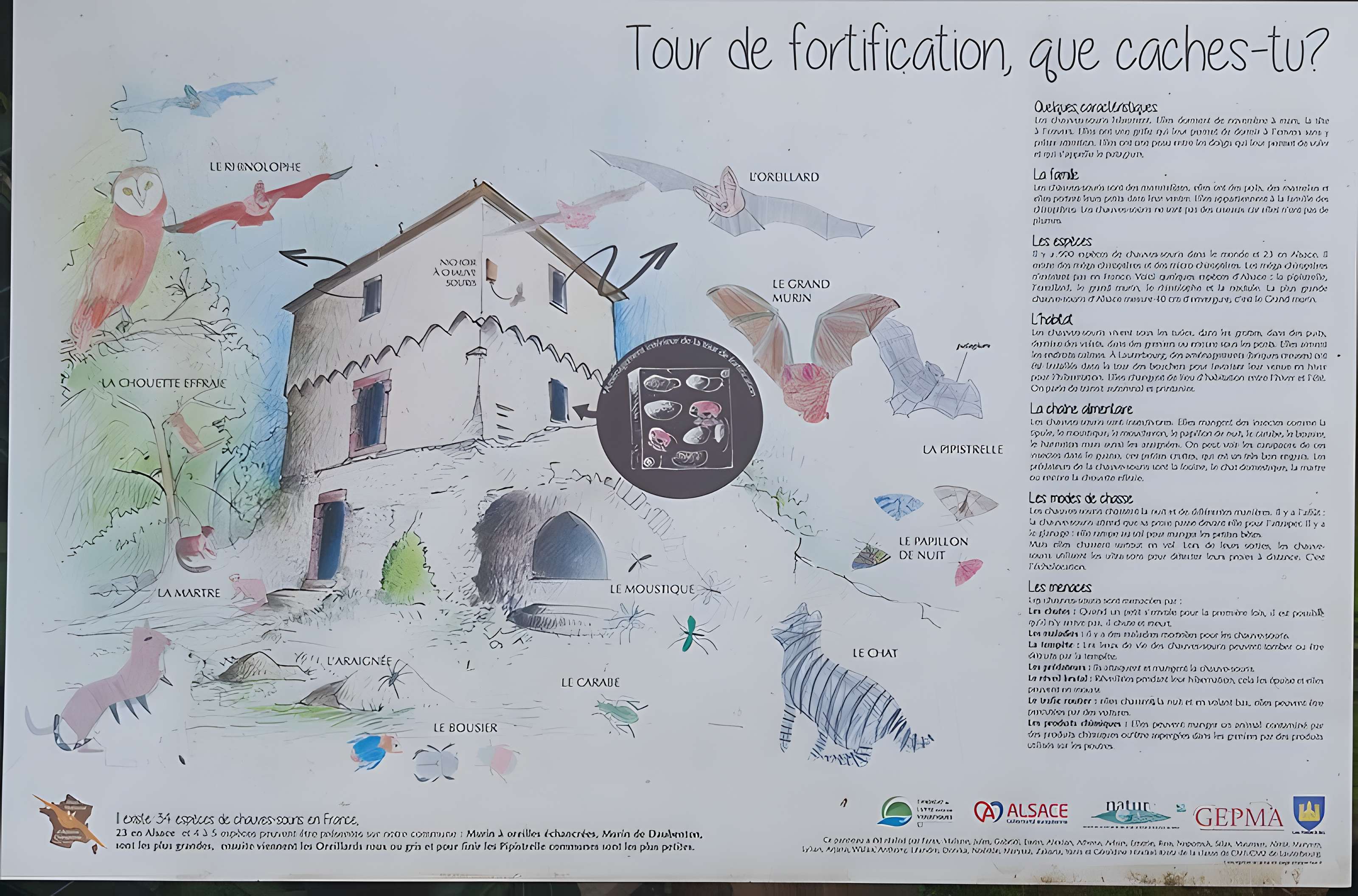 Tour des Bouchers de Lauterbourg