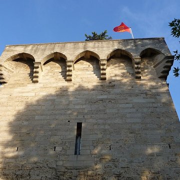 Tour des Pins de Montpellier