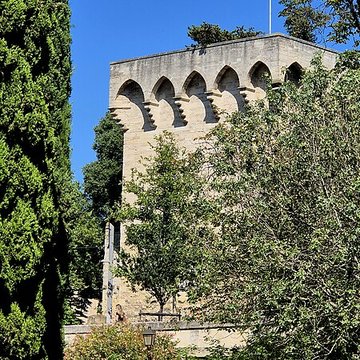 Tour des Pins de Montpellier