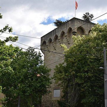 Tour des Pins de Montpellier