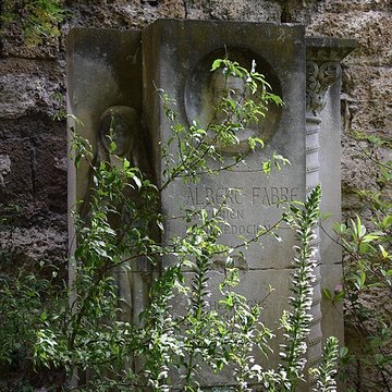 Tour des Pins de Montpellier