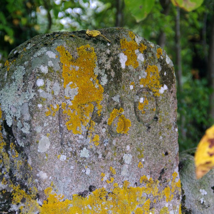 Photo de Croix monolithe de Pluduno