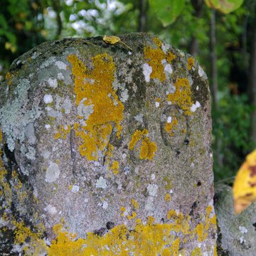 Croix monolithe de Pluduno