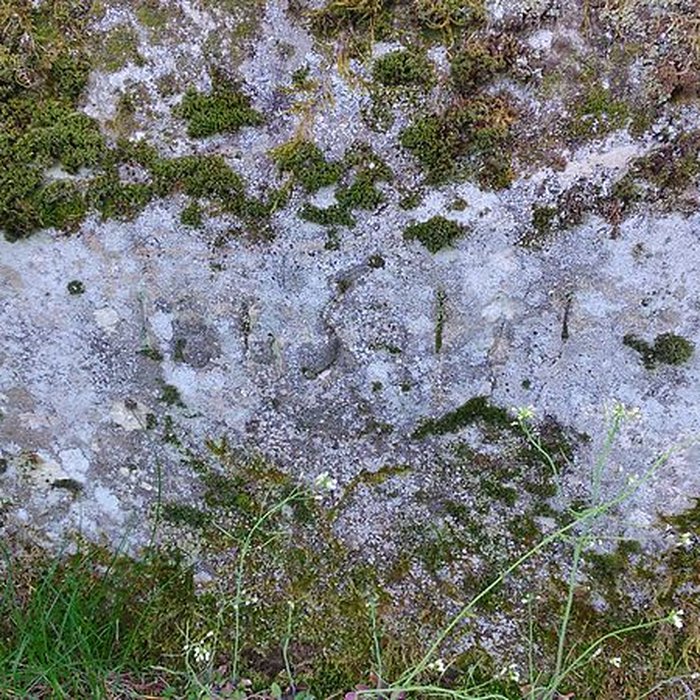 Photo de Croix monumentale du Mont-Dahin