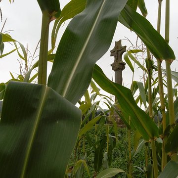 Croix Saint-Pierre de Granges-le-Bourg
