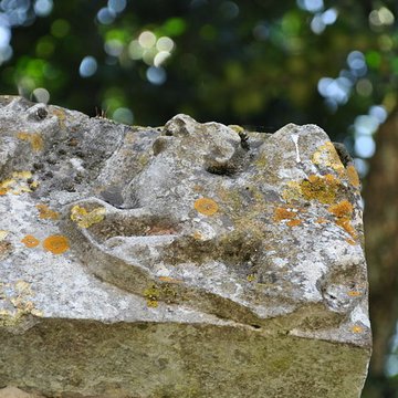 Croix Saint-Roch de Pesmes