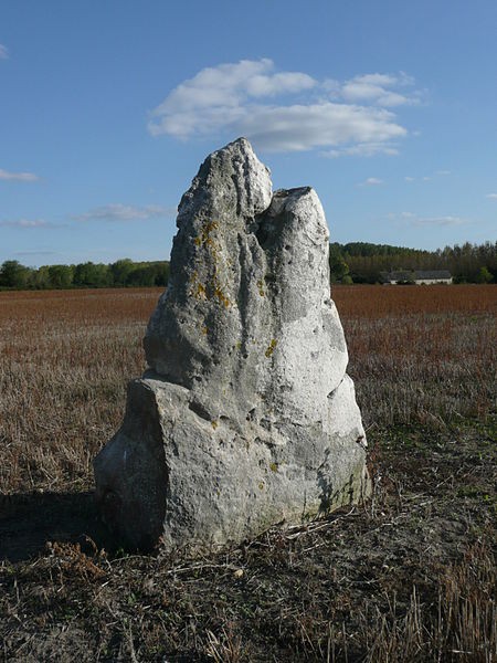 Photo de Cromlech de Charcé à Charcé-Saint-Ellier-sur-Aubance