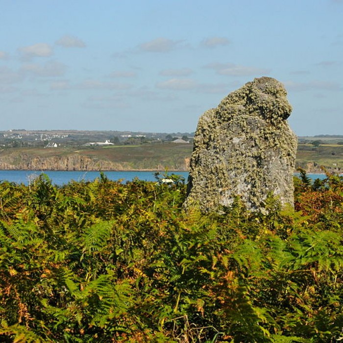 Photo de Cromlech de Kermorvan au Conquet