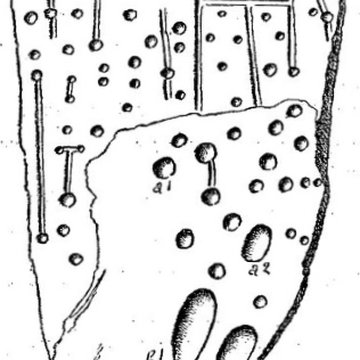 Cromlech de Kermorvan au Conquet