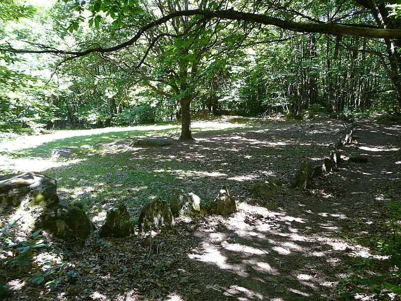 Photo de Cromlech du Puy de Pauliac à Aubazine