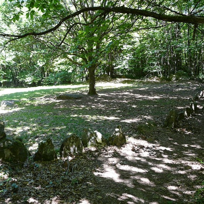 Photo de Cromlech du Puy de Pauliac à Aubazine