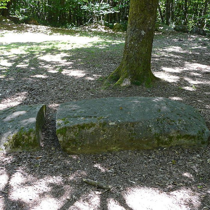 Photo de Cromlech du Puy de Pauliac à Aubazine