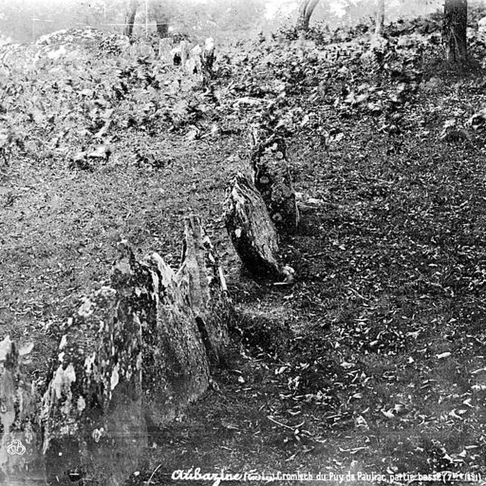 Photo de Cromlech du Puy de Pauliac à Aubazine