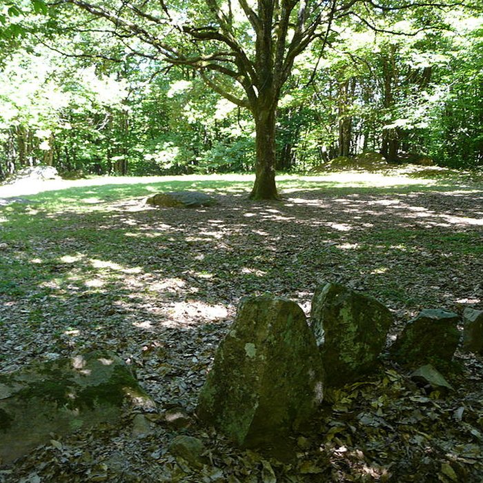 Photo de Cromlech du Puy de Pauliac à Aubazine