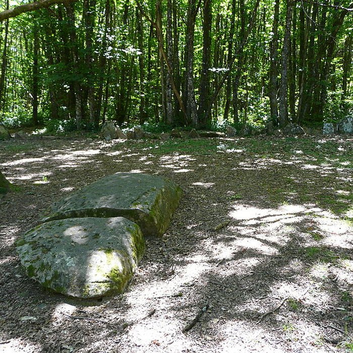 Photo de Cromlech du Puy de Pauliac à Aubazine