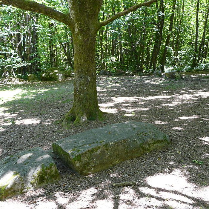 Photo de Cromlech du Puy de Pauliac à Aubazine