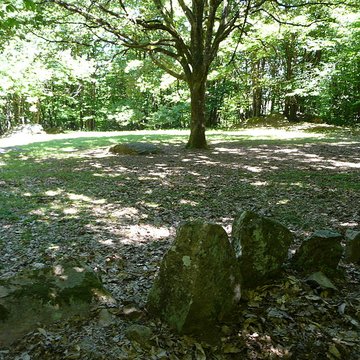 Cromlech du Puy de Pauliac à Aubazine