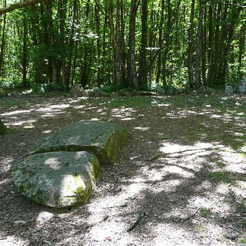 Cromlech du Puy de Pauliac à Aubazine