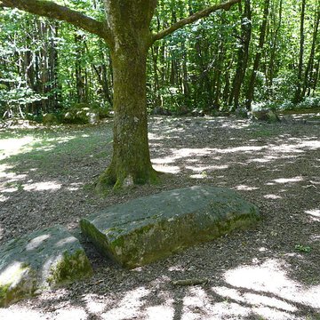 Cromlech du Puy de Pauliac à Aubazine