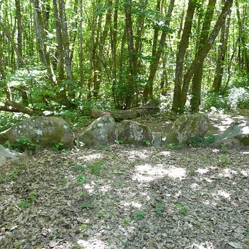 Cromlech du Puy de Pauliac à Aubazine
