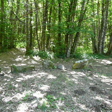Cromlech du Puy de Pauliac à Aubazine