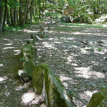 Cromlech du Puy de Pauliac à Aubazine