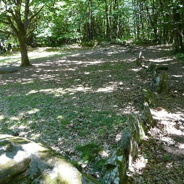 Cromlech du Puy de Pauliac à Aubazine