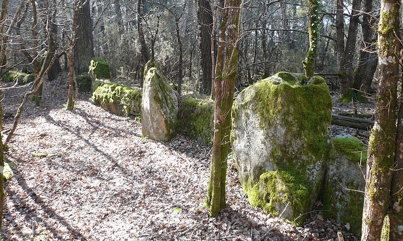 Photo de Cromlech nord de Kerlescan à Carnac